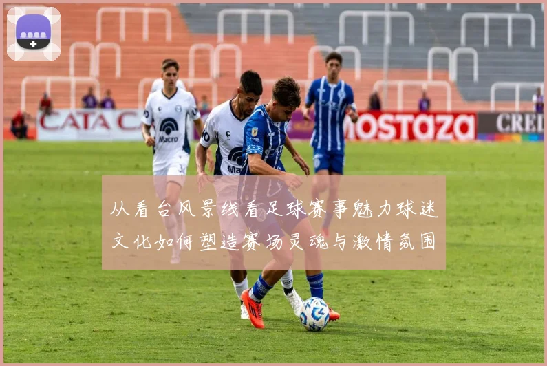 从看台风景线看足球赛事魅力球迷文化如何塑造赛场灵魂与激情氛围